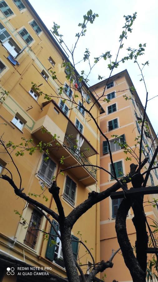 La Nina Appartement Camogli Buitenkant foto